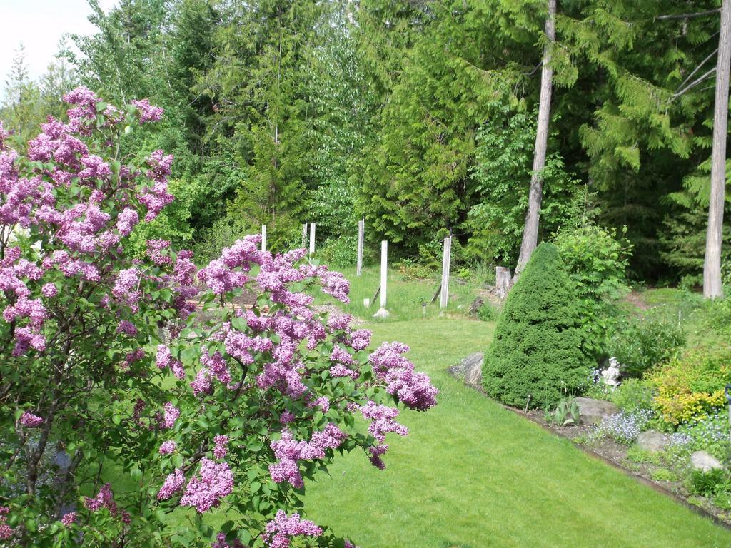 Silver Star Bed And Breakfast Vernon Quarto foto